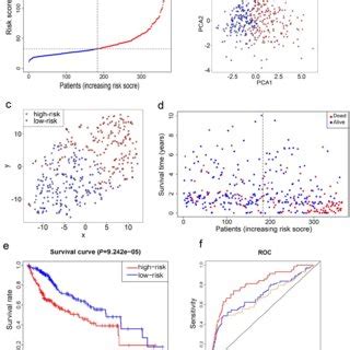 Prognostic Analysis Of The 10 Gene Signature Model In The TCGA Cohort