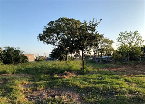 Venta Terreno En Esquina Sobre Av J B Lobos Veracruz Lamudi Mx