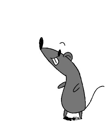 Dance Rat Sticker - Dance Rat Happy Dance - Discover & Share GIFs