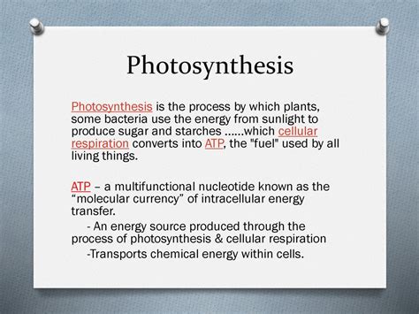 Photosynthesis And Cellular Respiration Ppt Download