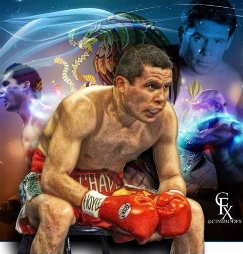 Julio Cesar Chavez | Boxing images, Boxing history, Boxing shirts