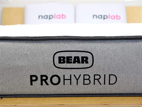 Bear Pro Hybrid Review - 10 Data-Driven Tests - NapLab