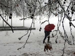 Srinagar Flights Suspended Flight Operations At Srinagar Airport