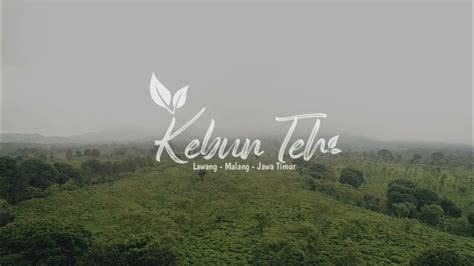 Vidio Drone Kebun Teh Wonosari Malang Youtube