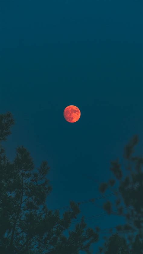 Blood Moon Photos, Download The BEST Free Blood Moon Stock Photos & HD Images