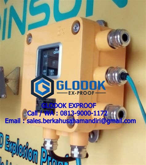 Qinsun Bjs310 Human Body Explosion Proof Road Tanker Grounding System Glodok Exproof