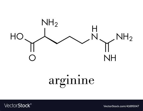 Arginine L Arginine Arg R Amino Acid Molecule Vector Image