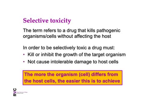 Selective Toxicity Of Antimicrobial Drugs Flashcards Quizlet