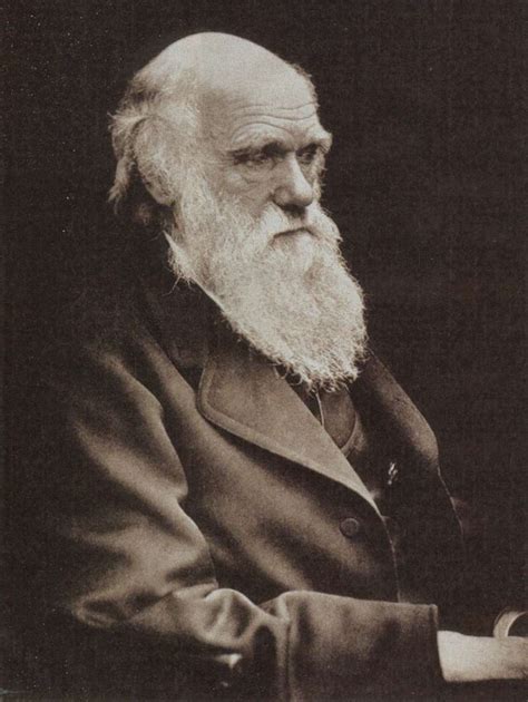 Charles Darwin ( 1809 - 1882 ) on the cruelty of Nature