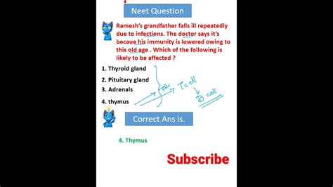 Biology Mcq Neet Class 12th Immune System Thymus Gland Important Question Shorts Youtube