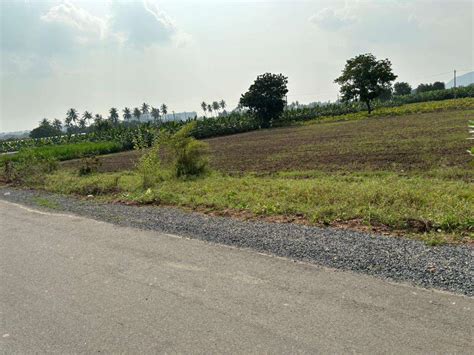 Resale Commercial Land 3900 Sq Ft In Kunchanapalli Guntur 6115786