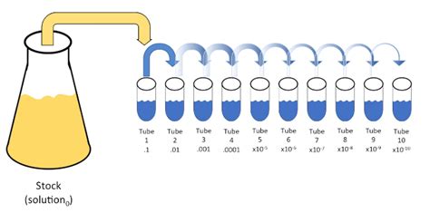 Video Serial Dilutions And Plating Microbial Enumeration