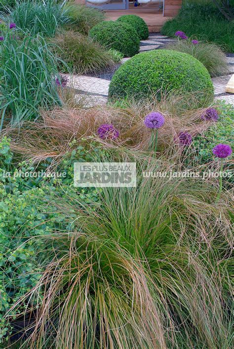 La Phototh Que Les Plus Beaux Jardins Ball Shaped Border Buxus