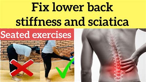 L4 L5 And L5 S1 Disc Bulge Sciatica Seated Exercises Sciatica