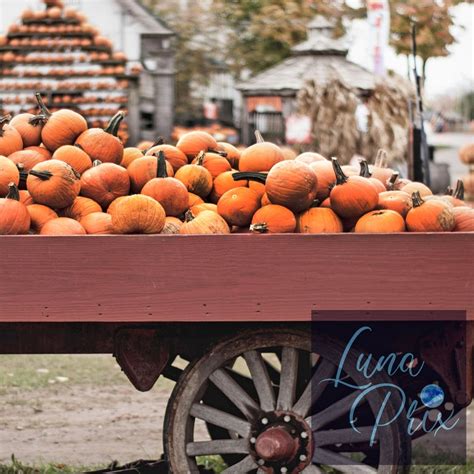 Fall Prints Pumpkin Farmhouse Decor Gallery Wall Set Autumn - Etsy