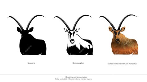 Premium Vector Oryx Standing Vector Illustration Oryx Silhouette