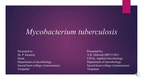 Mycobacterium Tuberculosis Pptx