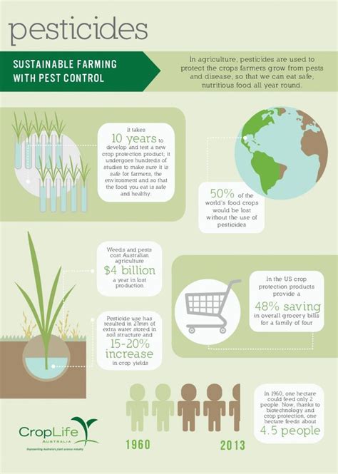 Pesticide Infographics Pest Control Crop Protection Infographic