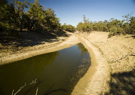 The Darling River is simply not supposed to dry out, even in drought