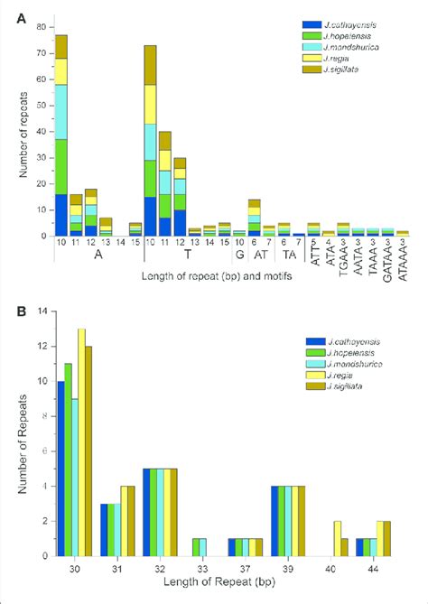 Analysis Of Repeated Sequences In The Five Chinese Juglans