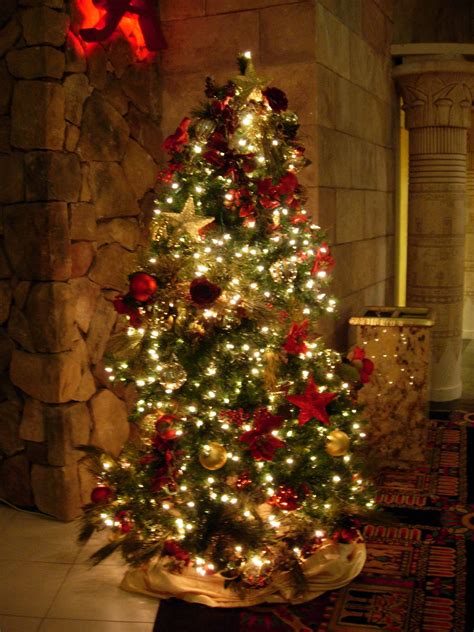 Pitchers Of Christmas Trees