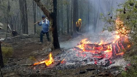 Continúan Acciones En Combate A Cinco Incendios Forestales En Nuevo