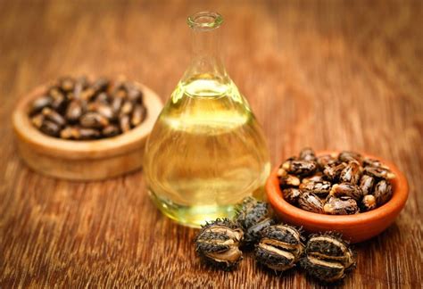 Os 10 Benefícios do Óleo de Mamona Para Saúde! | Cura Natural