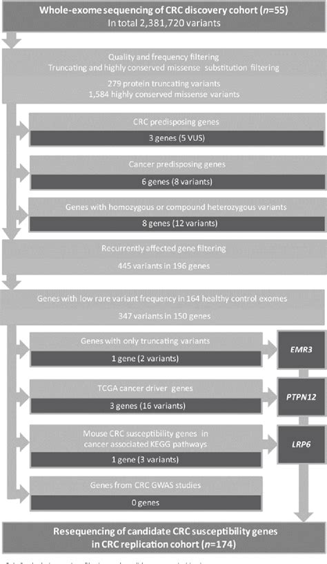 Figure 1 1 From The Heterogeneity Of Genetic Predisposition To Early