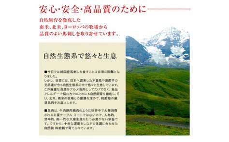 若丸の馬刺し ヘルシー赤身 500g 長野県飯島町 セゾンのふるさと納税