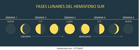 Moon Phases Equator Spanishespanol Stock Vector Royalty Free