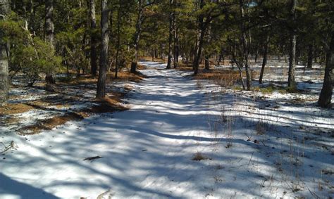 Wharton State Forest Mountain Bike Trail in Hammonton, New Jersey || SINGLETRACKS.COM