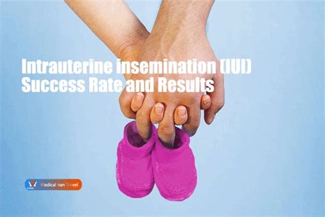 Iui Treatment In Iran Intrauterine Insemination In Iran Mitramed