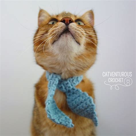 Ravelry Lenny Bunny Ears Cat Necktie Pattern By Charlotte Gillbanks