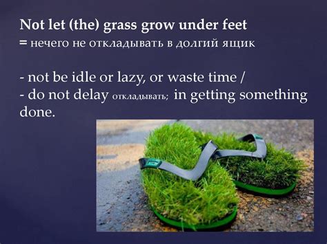 Not Let Grass Grow Under Feet