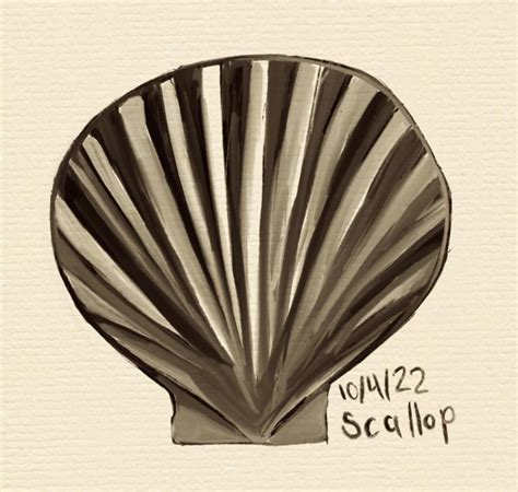 Day 4 Scallop R Inktober