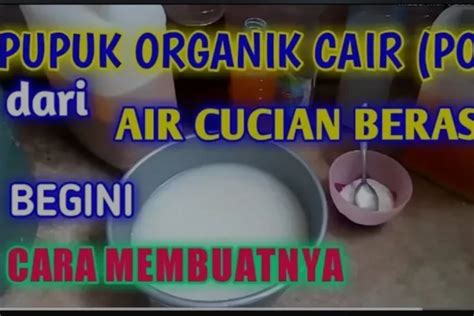 Jangan Dibuang Air Cucian Beras Ternyata Bisa Jadi Pupuk Organik