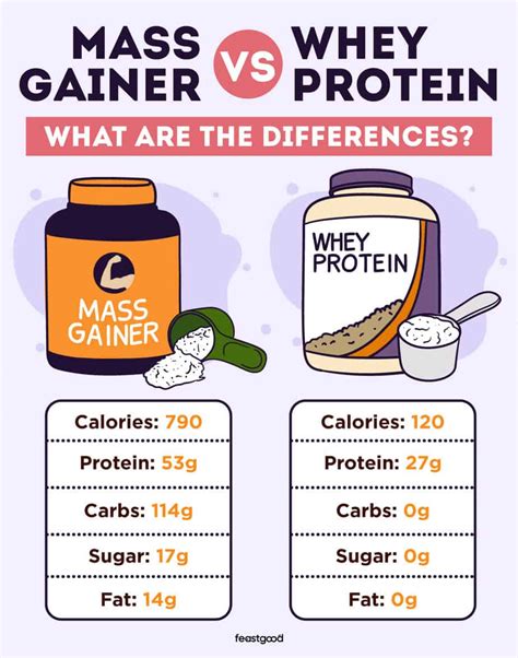 Can You Take Mass Gainer And Whey Protein Together