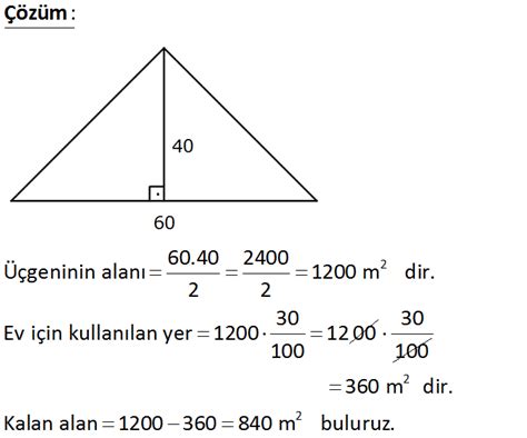 Üçgende Alan Basit Sorular