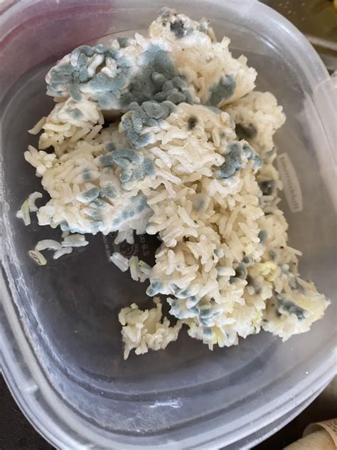 Surprising rice? : r/CabinPressure