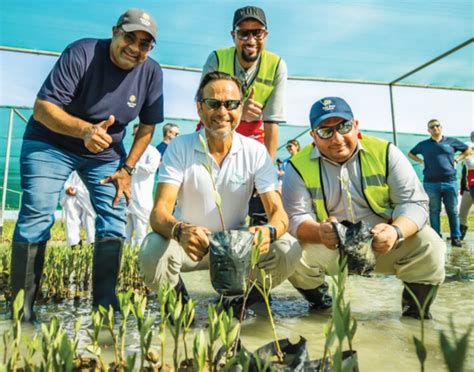 Red Sea Global Launches Mangrove Project To Grow Million Treesarab