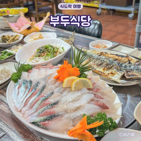 제주 신화월드 근처 맛집 부두식당 신선한 모슬포항 주변 인근 횟집 네이버 블로그