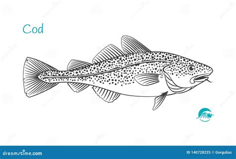 Cod Fish Hand Drawn Illustration Stock Vector Illustration Of Food