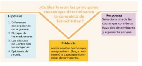 Escribe En El Cuaderno Las Diferenciasentre Las Concepciones Sobre La