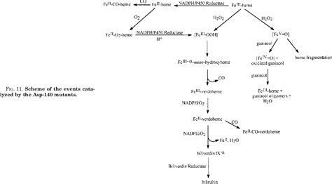 Figure From Disruption Of An Active Site Hydrogen Bond Converts