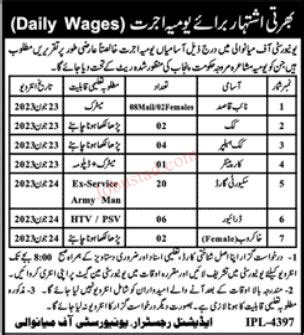 Latest University Of Mianwali Jobs June 2023 Advertisement