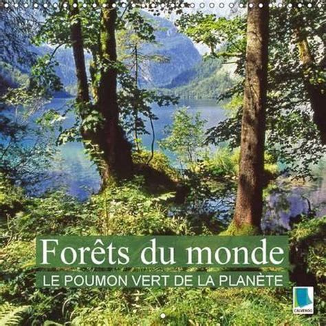 Forets Du Monde Le Poumon Vert De La Planete Calvendo