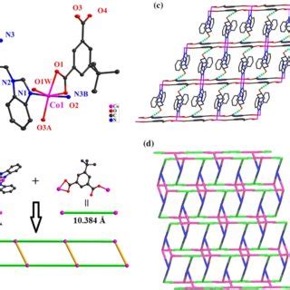 A Coordination Environment Of Co Ii Ions In Complex With