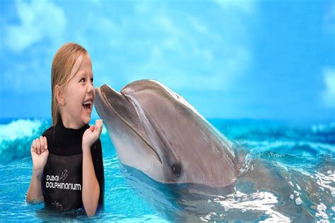 Dolphin Show Dubai | Aqua Tours | Fun Tours Dubai