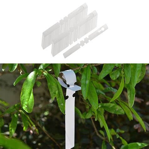 100Pcs Plant Boom Tags Nursery Tuin Lables Wrap Ro Grandado