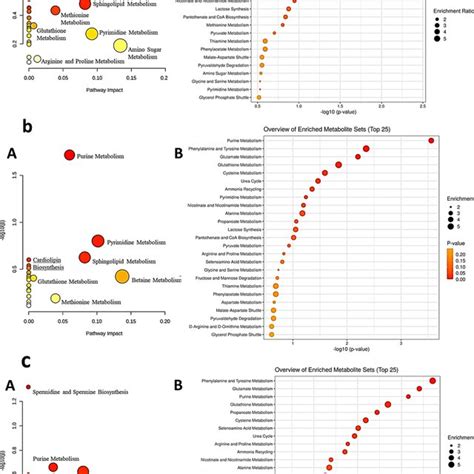 Metabolomic Functional Enrichment Analyses Showing The Most Altered Download Scientific Diagram